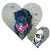 Betsy Mac's photo