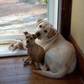 Foto von DeeDee Hubbard