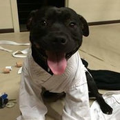 Jessica Atkinson's photo