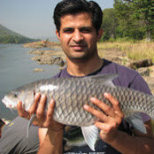 Aditya Singhs foto