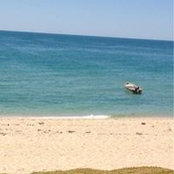 Abigail Bauer's photo