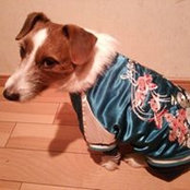 Misako Fukuda's photo