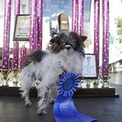 Julie Gallup's photo