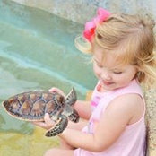 Erinn Demarie's photo