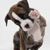 Nancy Weeks's photo
