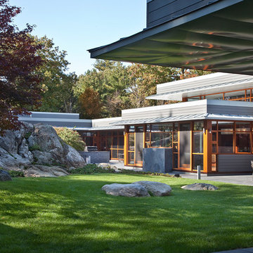 Naturally Modern