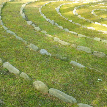 Moss Labyrinth -- Cashiers