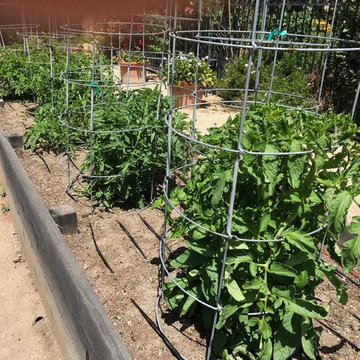 Rancho Santa Fe Edible Garden