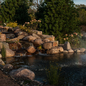Back Yard Oasis