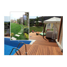 Dream House: Backyard