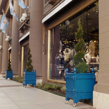 Versailles planter, Jardinier du Roi, French planters, orange tree planters Chat