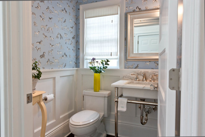 Transitional Powder Room Westfield Cape- Taken to New Heights