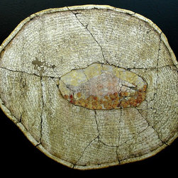 Fine Art- Contemporary - Products