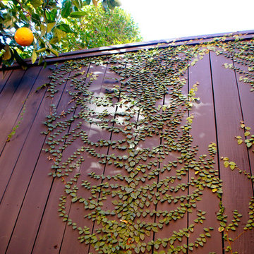 European Chateau Patio - Memorial, Houston