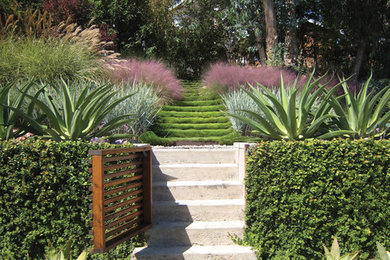 Photo of a mid-sized modern sloped full sun xeriscape for fall in Los Angeles with concrete pavers.