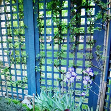 pearl st ~ backyard secret garden