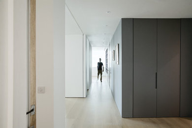 Пример оригинального дизайна: большая узкая прихожая в современном стиле с серыми стенами, светлым паркетным полом и одностворчатой входной дверью