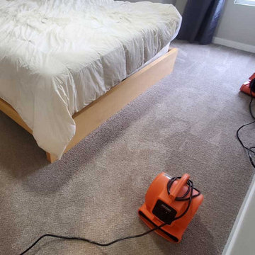 Pet Urine Treatment Carpet Cleaning Townhouse Maple Ridge BC Canada