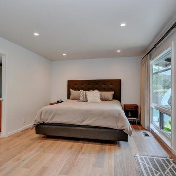 Mastersuite and Hall Bathroom Remodel