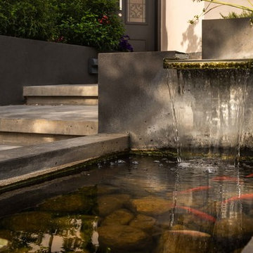 Landscape and hardscape