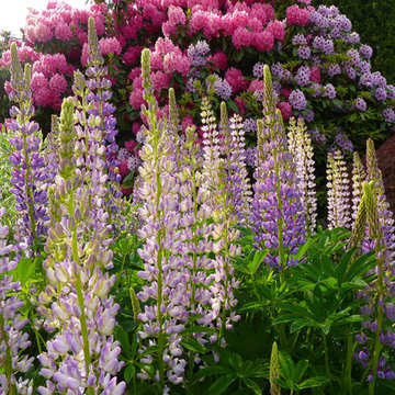 Inverness Gravel Garden