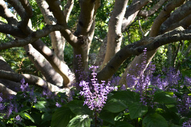 Design ideas for a medium sized nautical back xeriscape garden in Kent with a flowerbed.