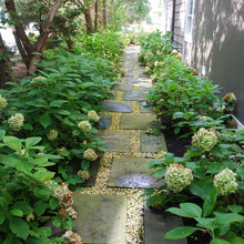 Backyard cement slab
