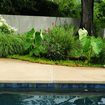 Pool flower bed by Oxygène