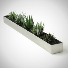 succulent planters and ideas