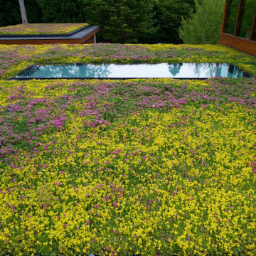 SkyFloor Walkable Skylights Series