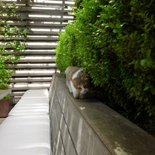 CW terrace