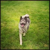 Sarah Larson's photo