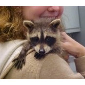 Cathy Lamkin's photo