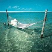 Deana Allen's photo
