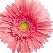 Debbie Boltres's photo
