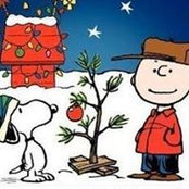 Joni Matthews's photo