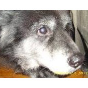 Susan Spigarelli's photo