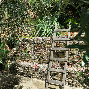 Downtown San Diego Canyon Oasis