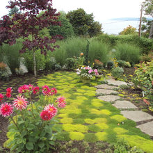 moss garden
