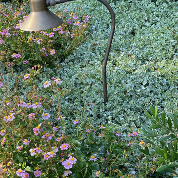 Provence Redux