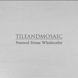 Bianco Dolomiti Marble Italian White Dolomite 12x12 Marble Tile Polished - Products