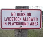 Rachael Spangelo's photo