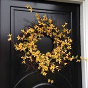 Melinda De Young's photo