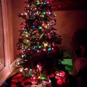 Kathy Ward's photo