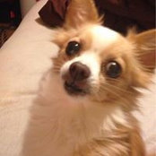 Cary N Sherry Lindeen's photo