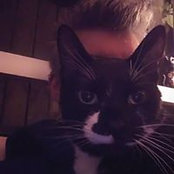 David Langworthy's photo