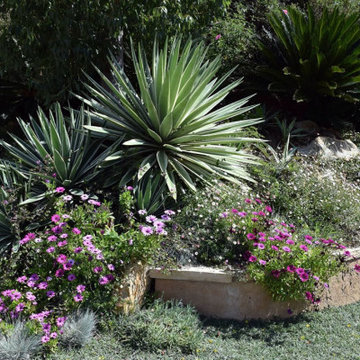 Xeriscape Drought Resistant Landscaping