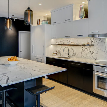 Modern Condo Remodel