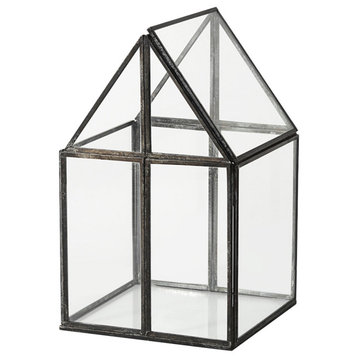 Sikes, Small, 6Lx6Wx10H Glass Terrarium