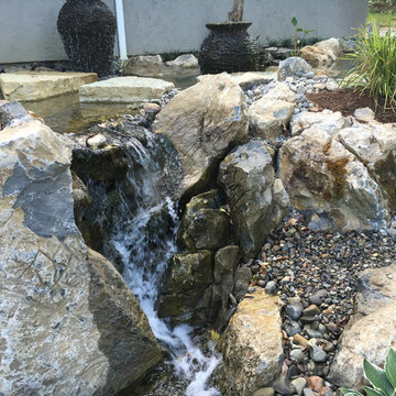 Amazing Backyard Pond